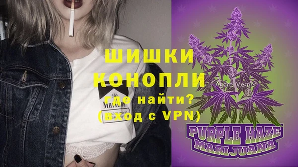 трава Инсар
