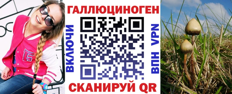 Галлюциногенные грибы Psilocybine cubensis  Купить закладки  Губкинский 